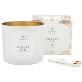 FOREST FIR Grand Candle