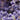 LAVENDER ROSEMARY