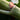 RHUBARB