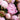 Petals