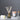 The Hinoki Collection