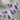 Lavender Rosemary