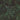 Forest Fir Grand