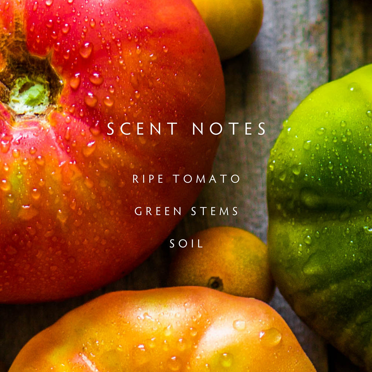 Linnea Heirloom Tomato Candle main image 0