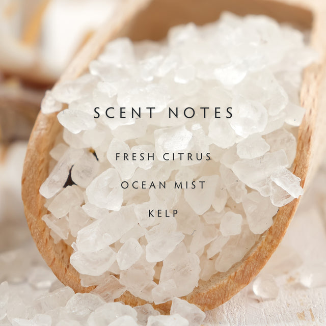 Sea Salt 2 Wick Candle main image 0