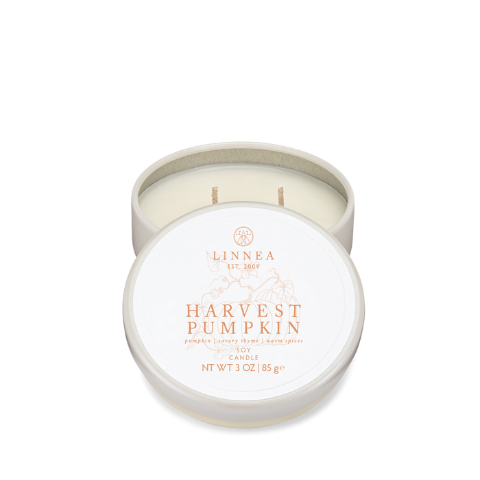 Harvest Pumpkin Petite Candle