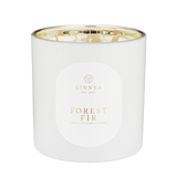 Forest Fir