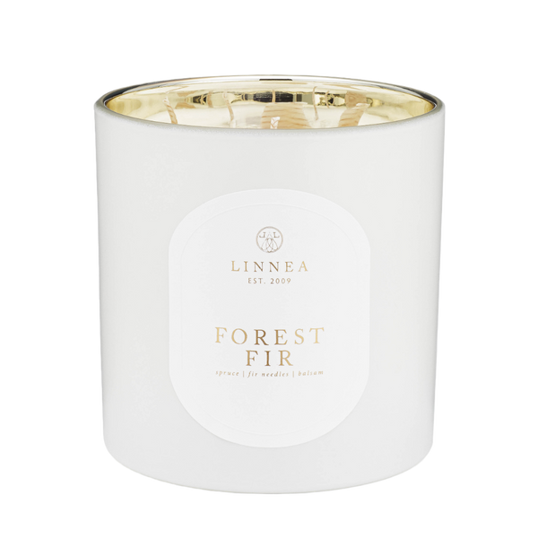 Forest Fir